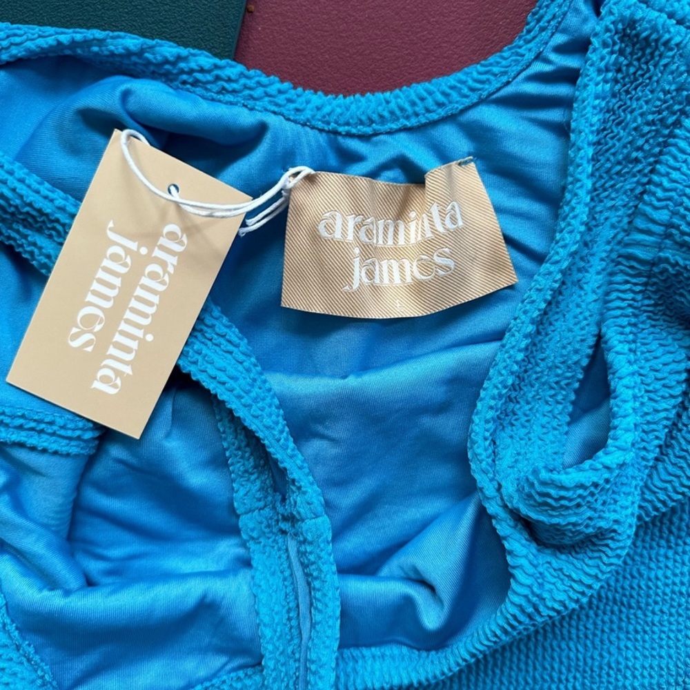 NWT Aramita James Bella Crinkle Mini Dress, Blue, Large, NEW - Picture 2 of 8